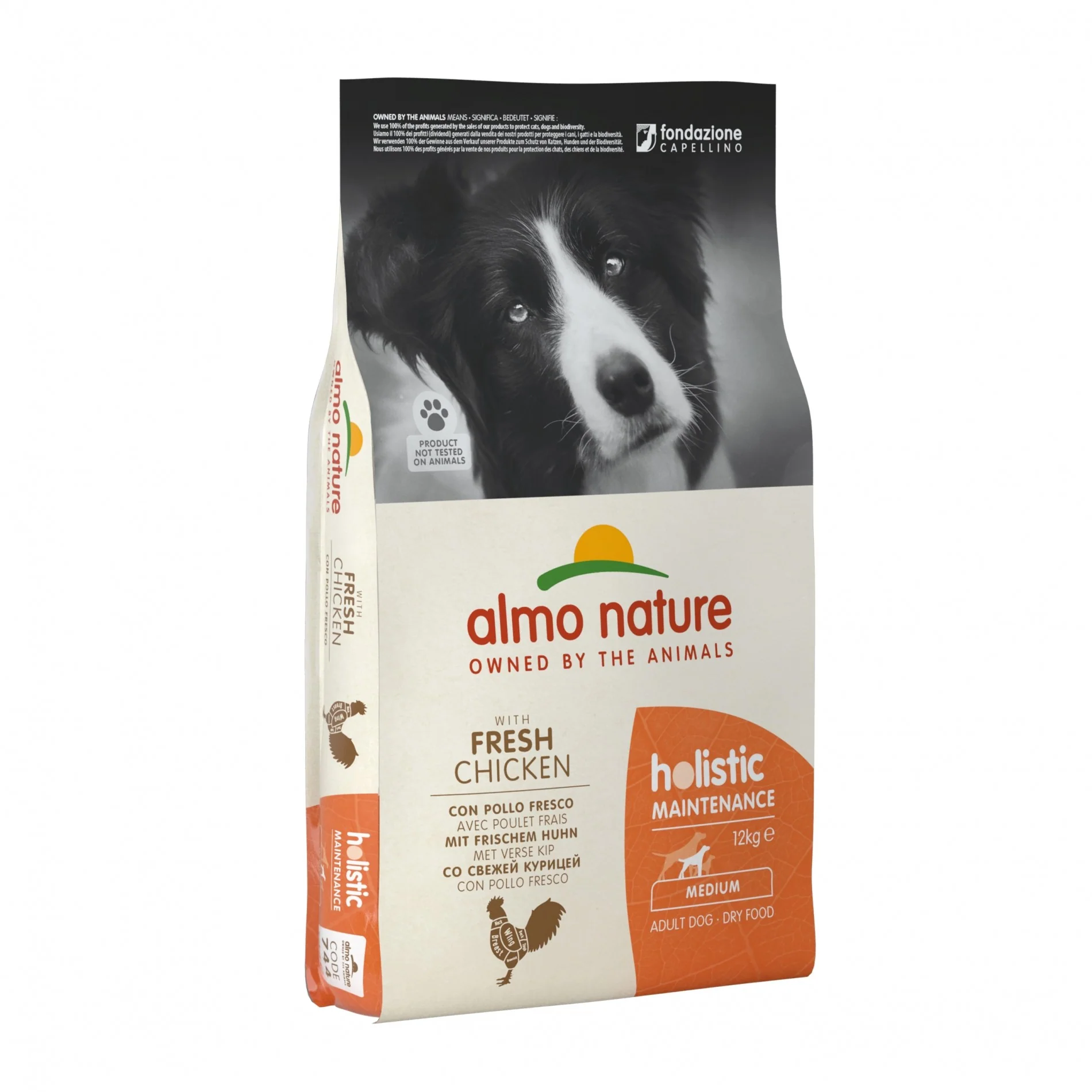 Almo Nature Croquettes Chien Adulte - Holistic Maintenance Medium - Image 4