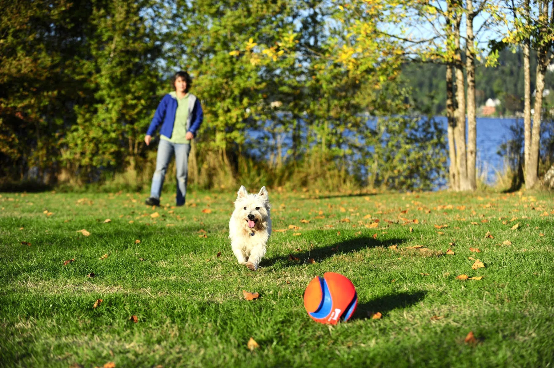 Ballon Kick Fetch - Image 4