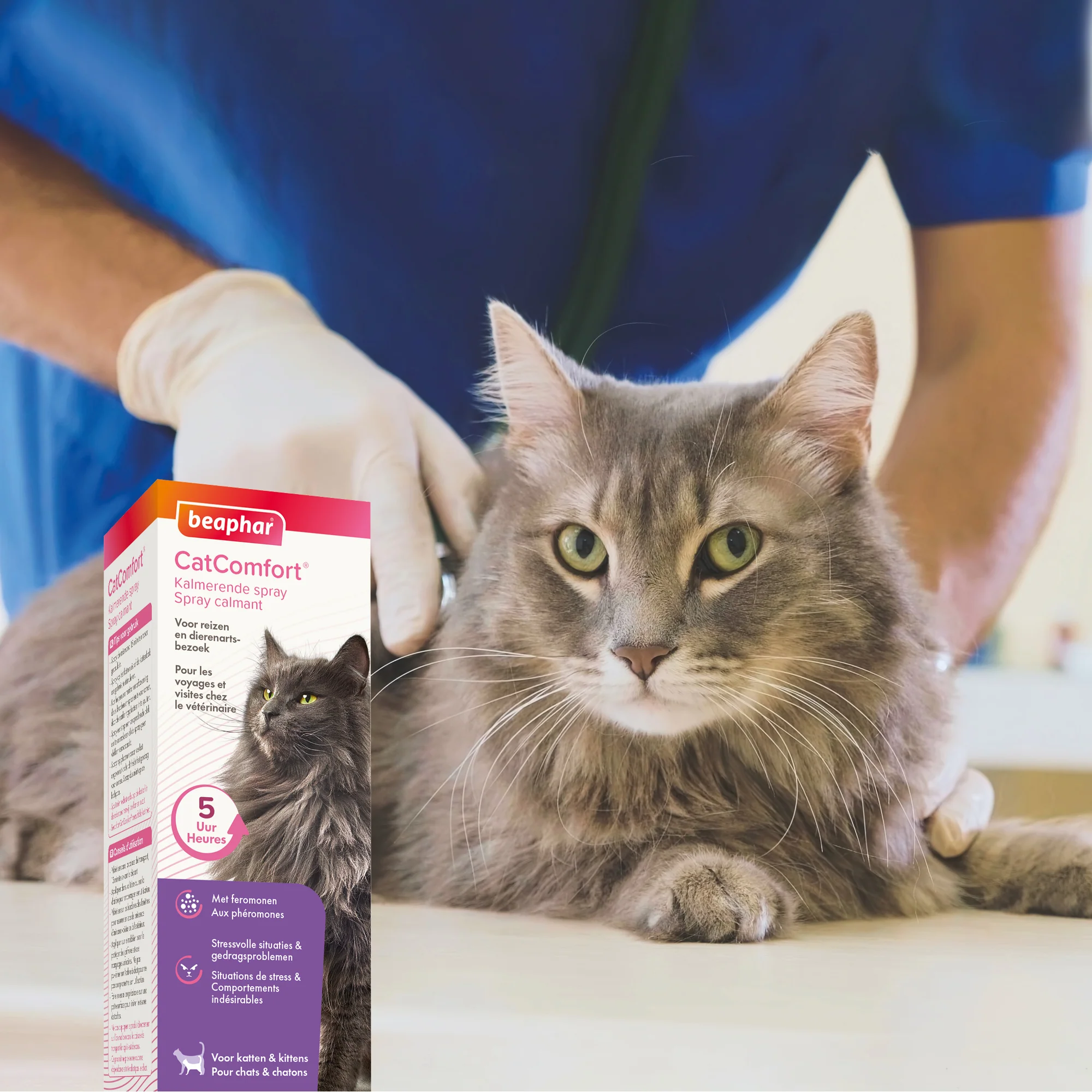 BEAPHAR SPRAY CALMANT CHAT 60ML - Image 2