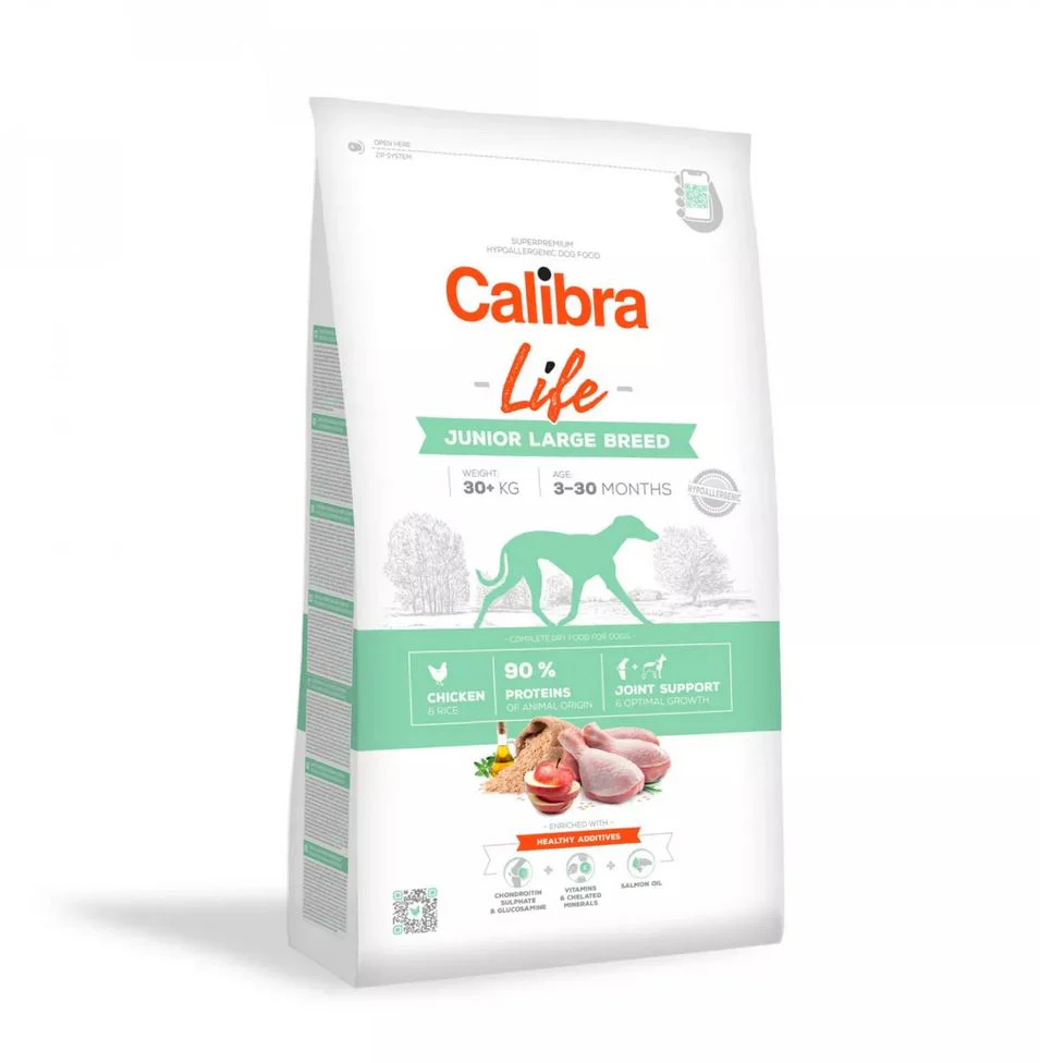 Cal Lf Chien Junior - Image 4