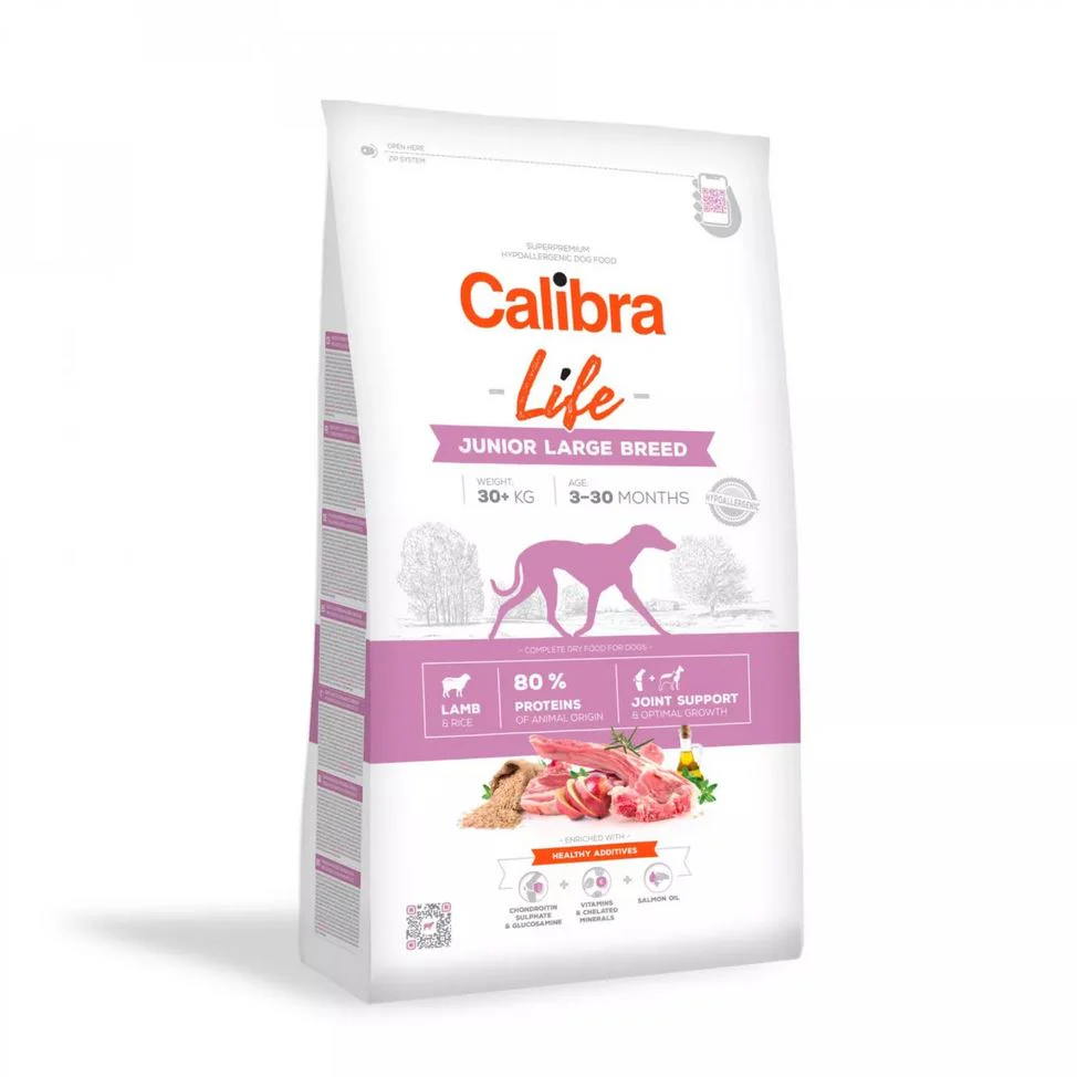 Cal Lf Chien Junior - Image 5