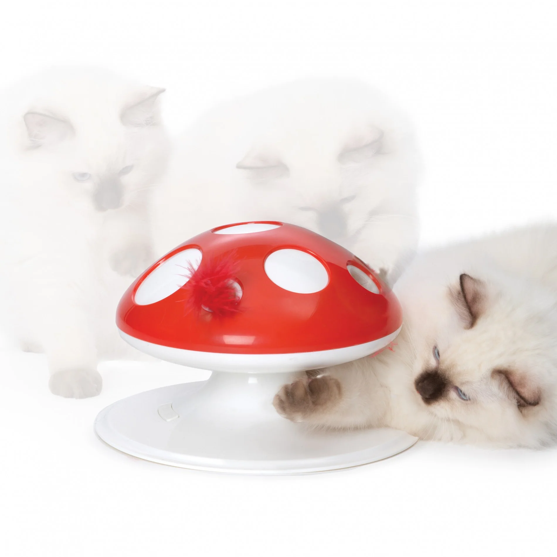 Champignon Senses 2.0 - Image 2