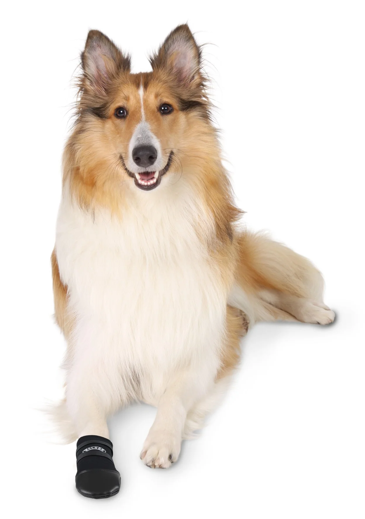Chaussons Walker - Image 4