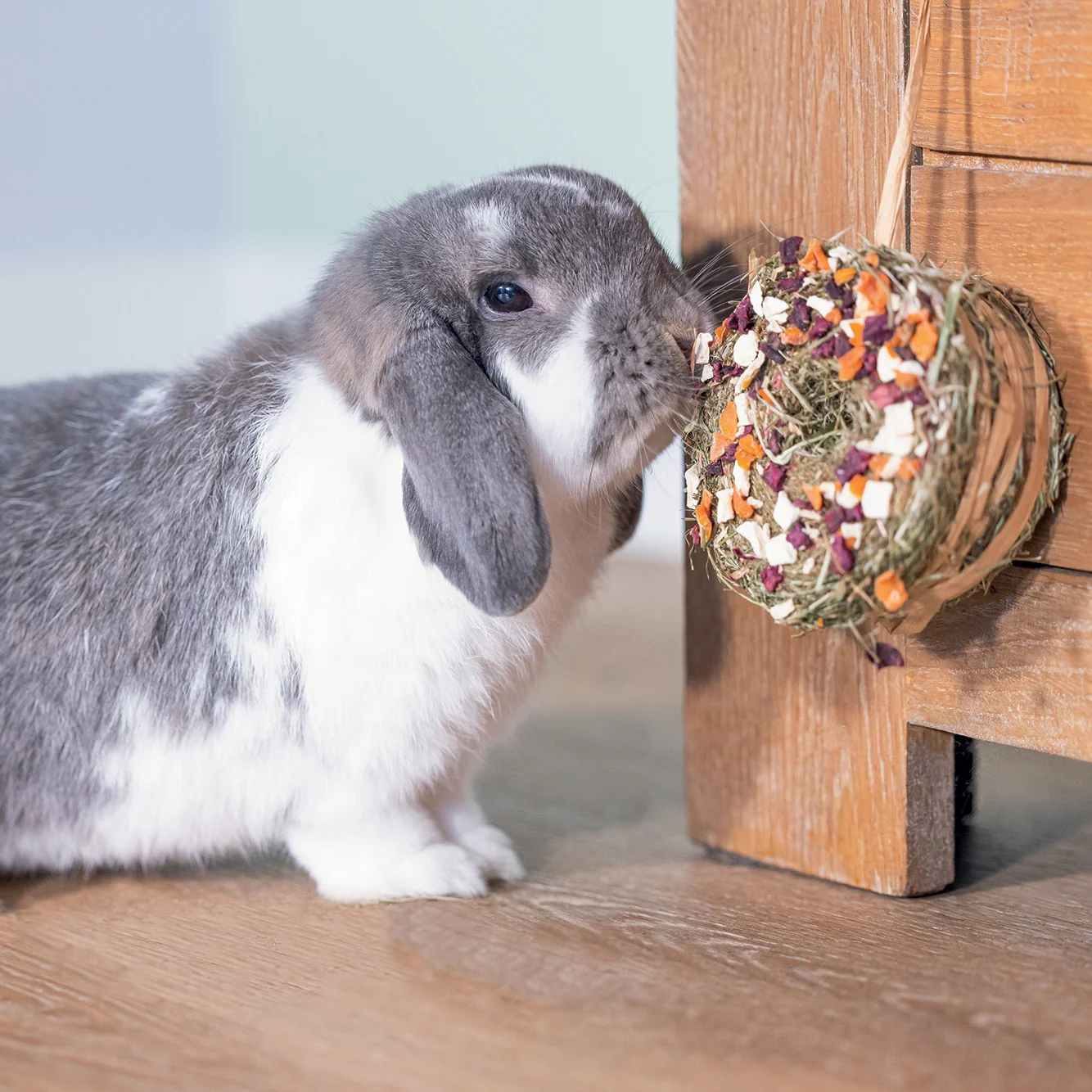 Donut de foin - Image 3