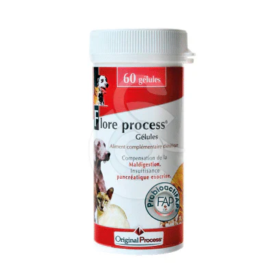 Flore Process Chat Chien - Image 2