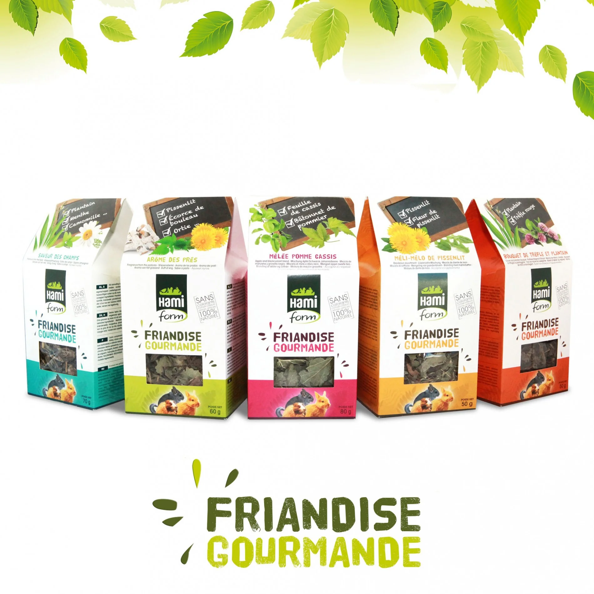 Friandise Gourmande - Image 7