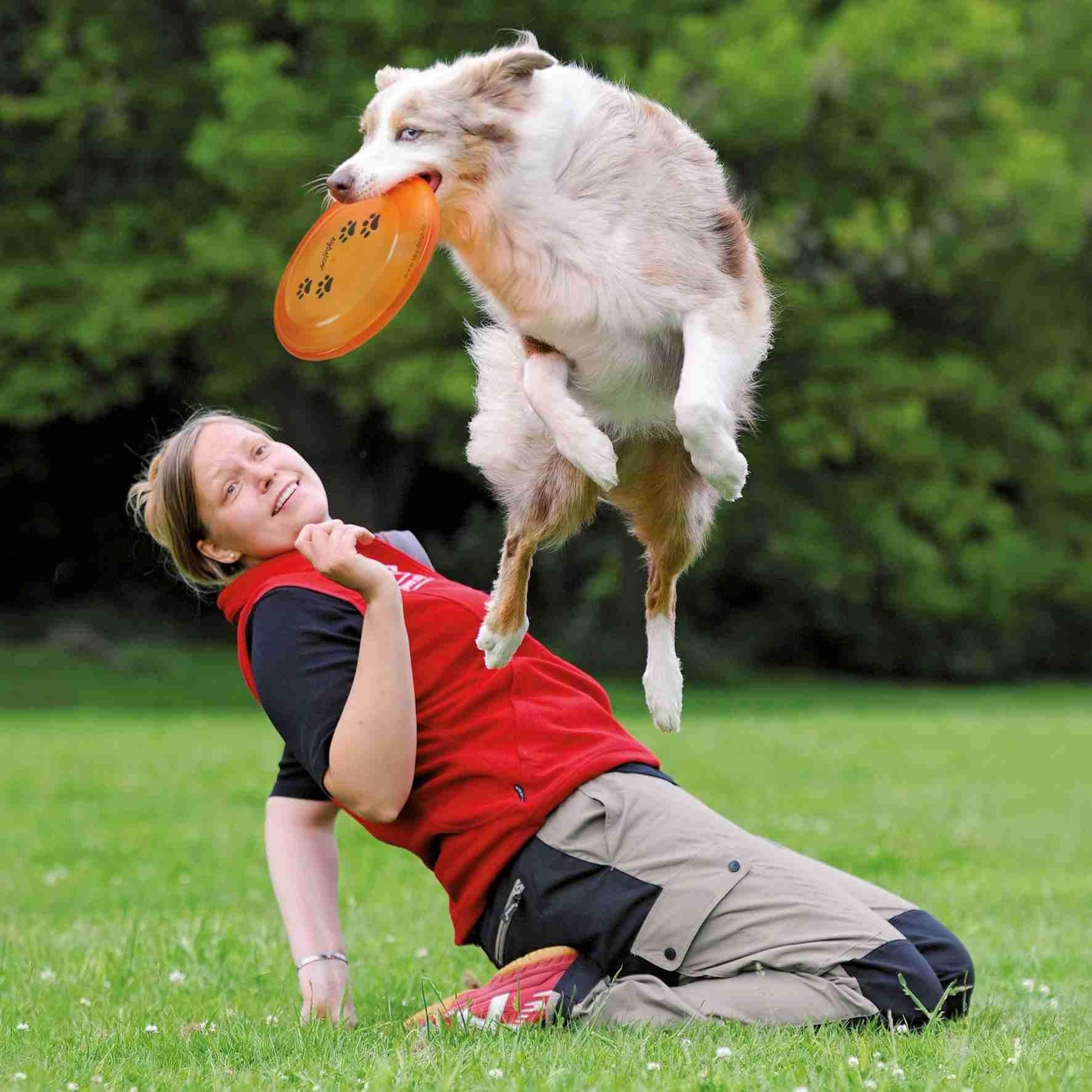 FRISBEE DOG DISC - Image 2