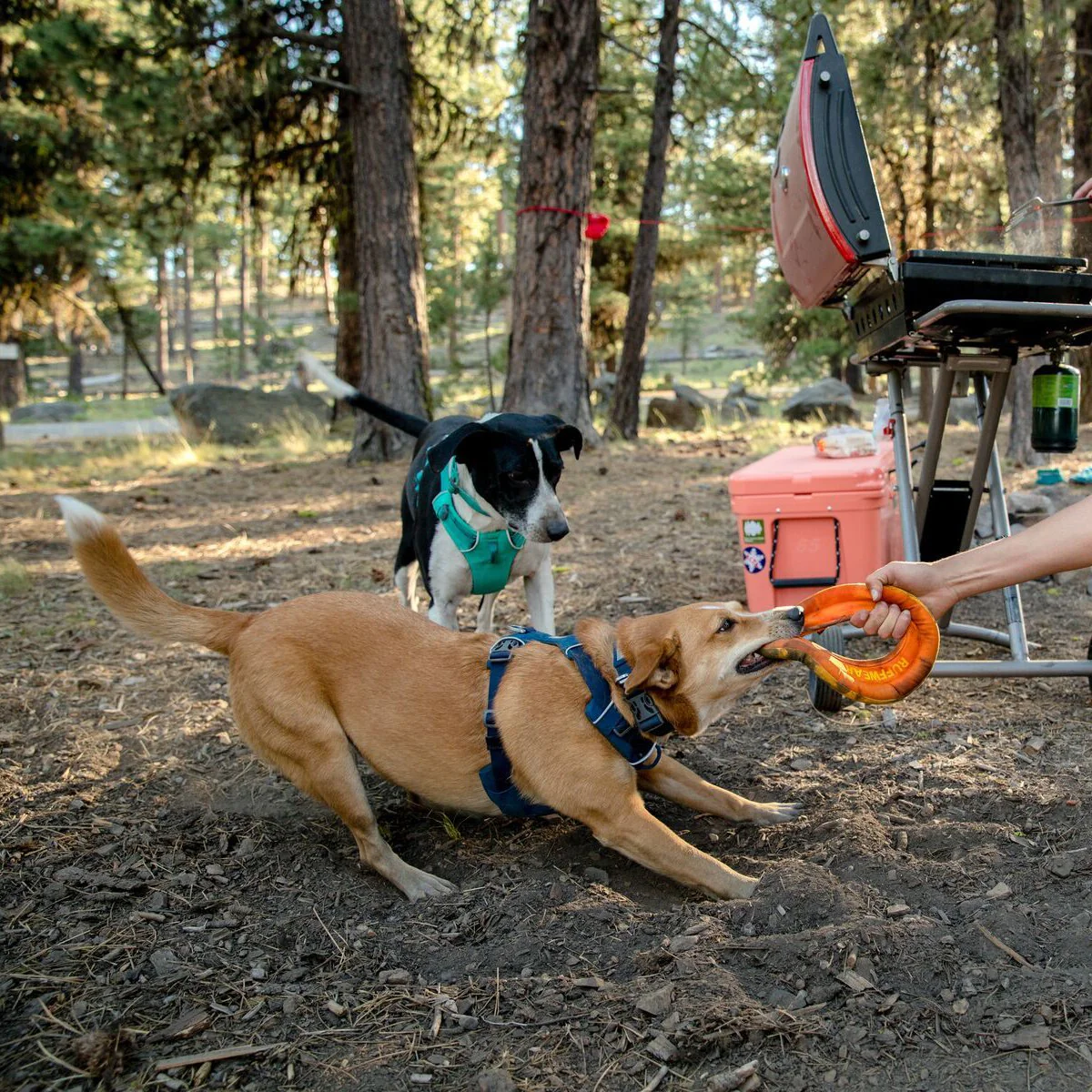 Frisbee Hydro Plane™ - Image 4