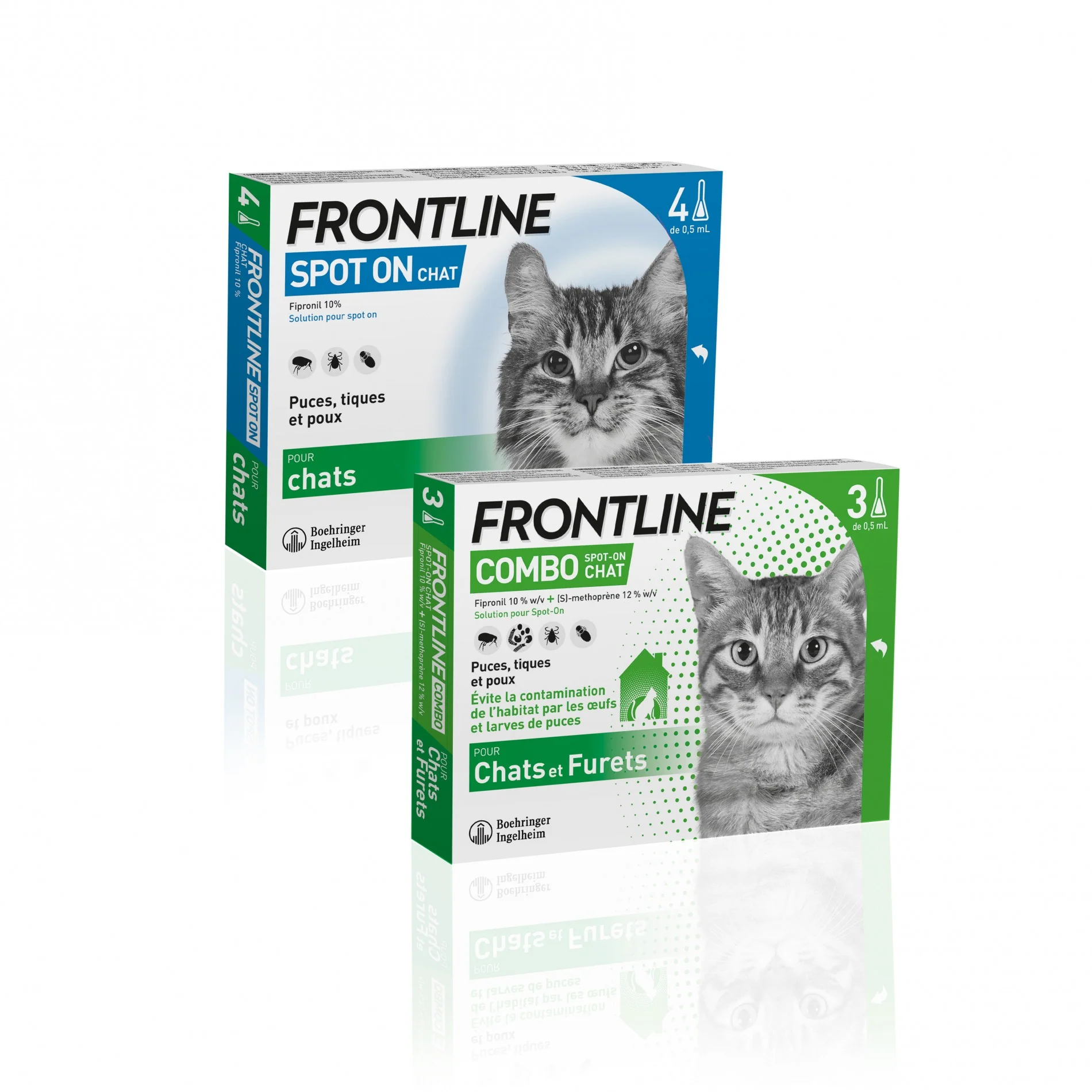 Frontline Combo chat - Image 5