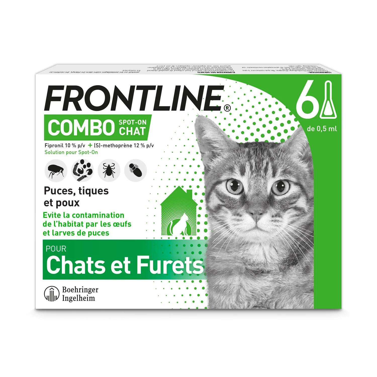 Frontline Combo chat - Image 6