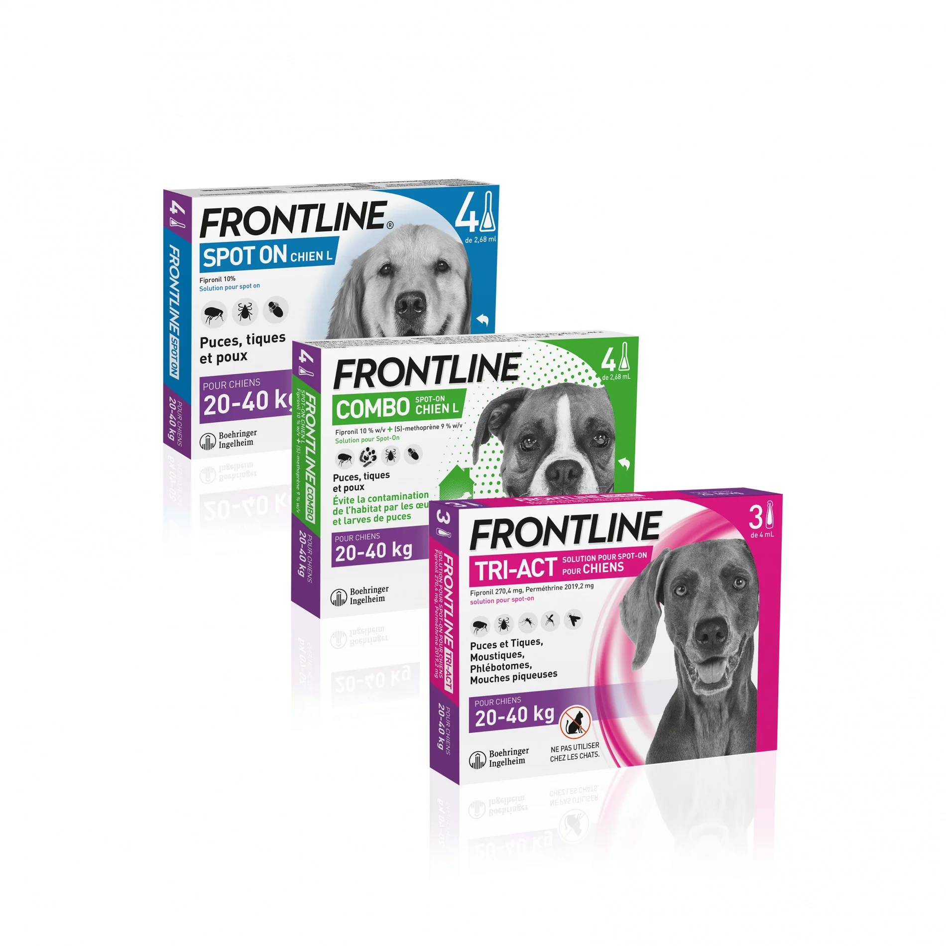Pipettes Frontline Combo Chien - Image 15