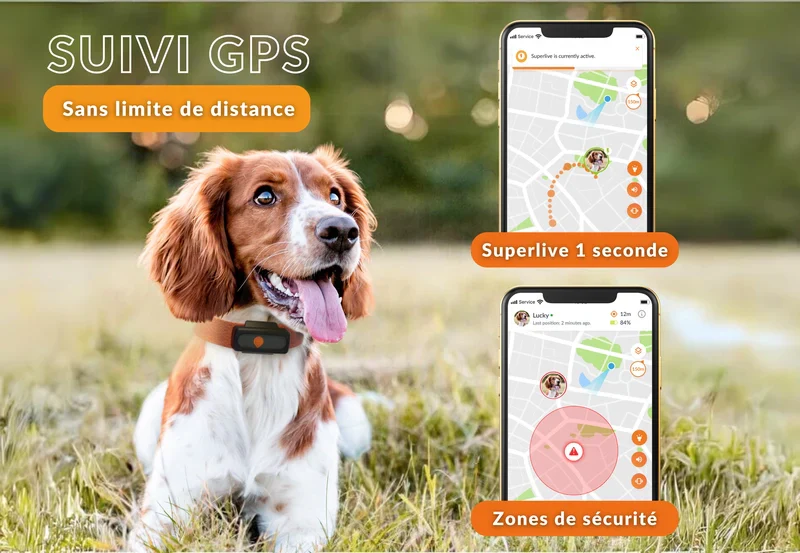 Gps Weenect Chien - Image 2