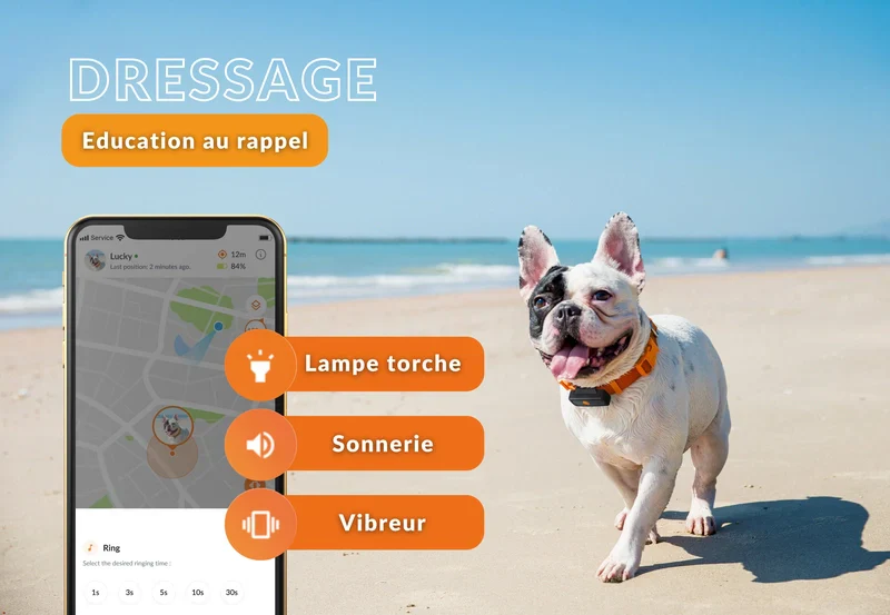 Gps Weenect Chien - Image 3