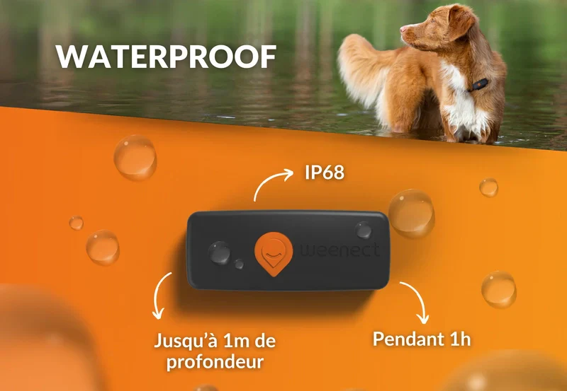 Gps Weenect Chien - Image 6