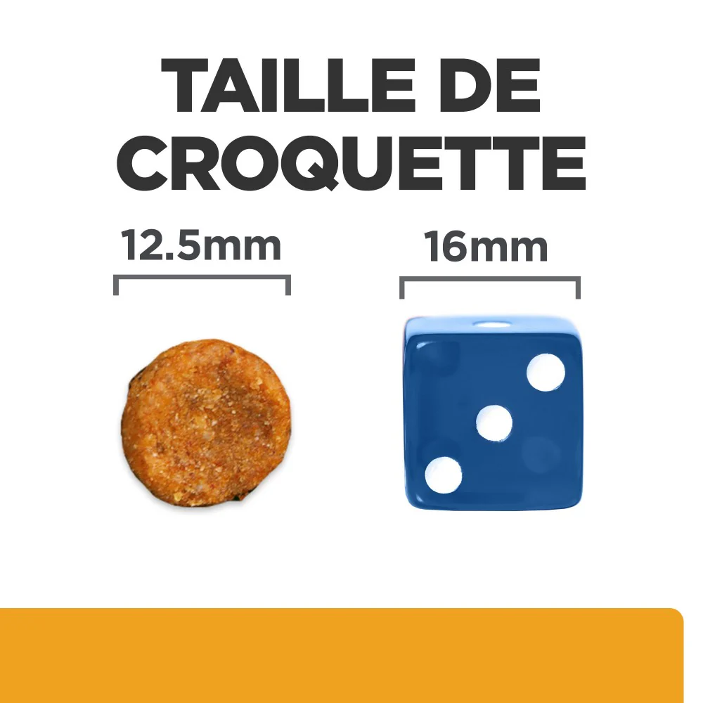 HILL'S Prescription Diet c/d Urinary Care Multicare au Poulet - Croquettes pour chien - Image 8