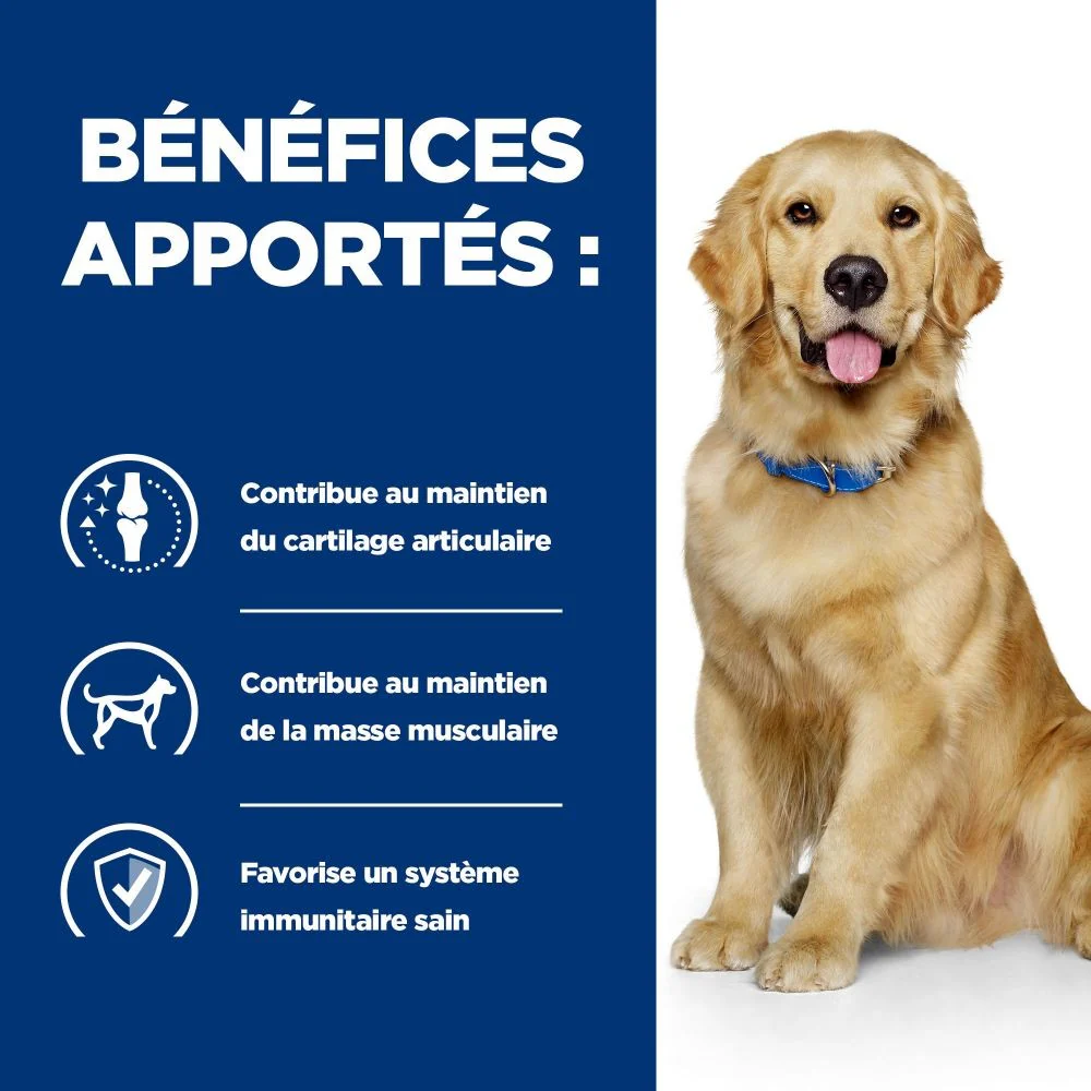 Hill's Prescription Diet j/d Mobility Reduced Calorie au poulet - croquettes pour chien - Image 4