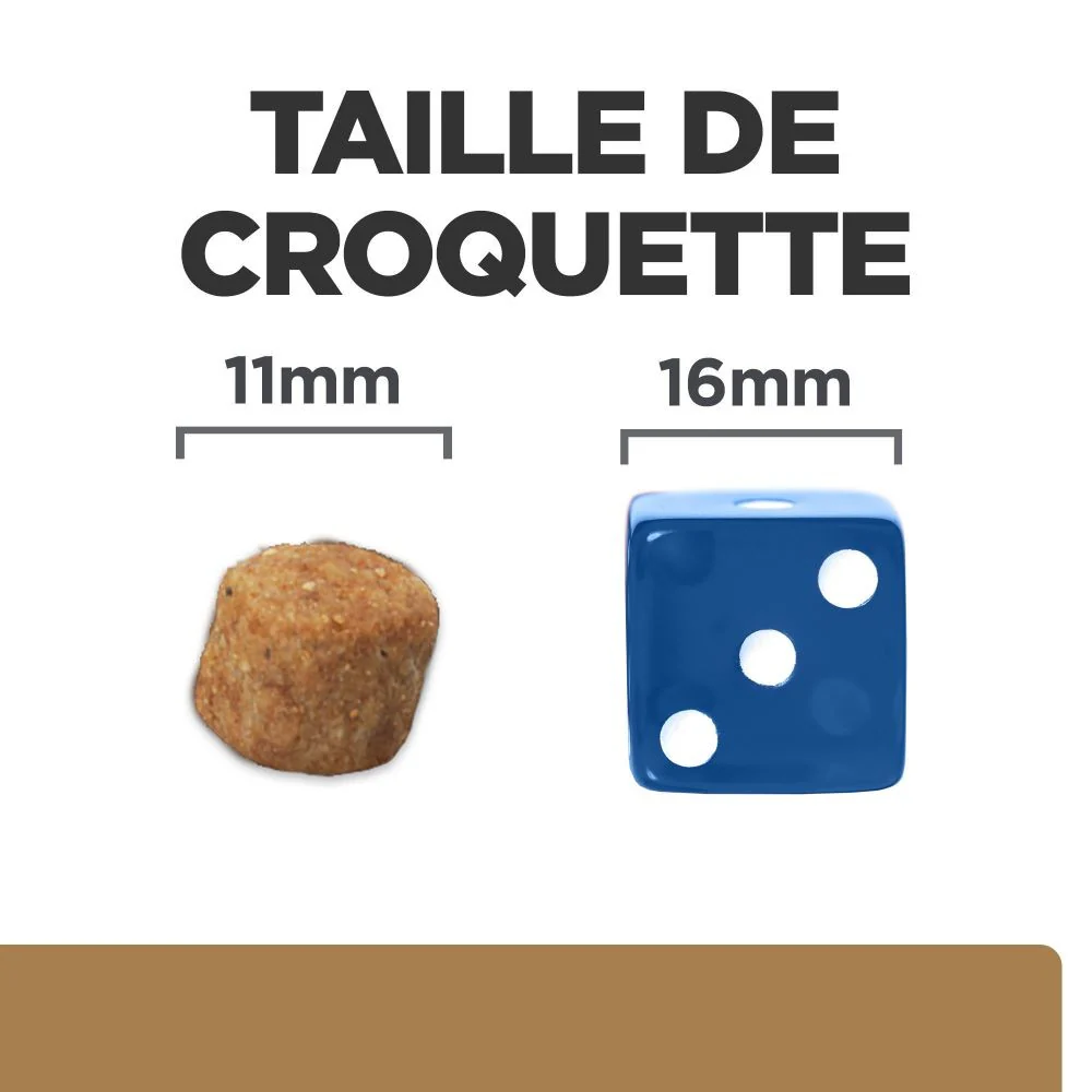 Hill's Prescription Diet j/d Mobility Reduced Calorie au poulet - croquettes pour chien - Image 6
