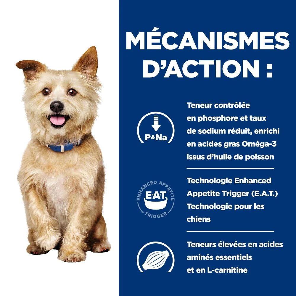 HILL'S Prescription Diet k/d Kidney Care - Croquettes pour chien - Image 7