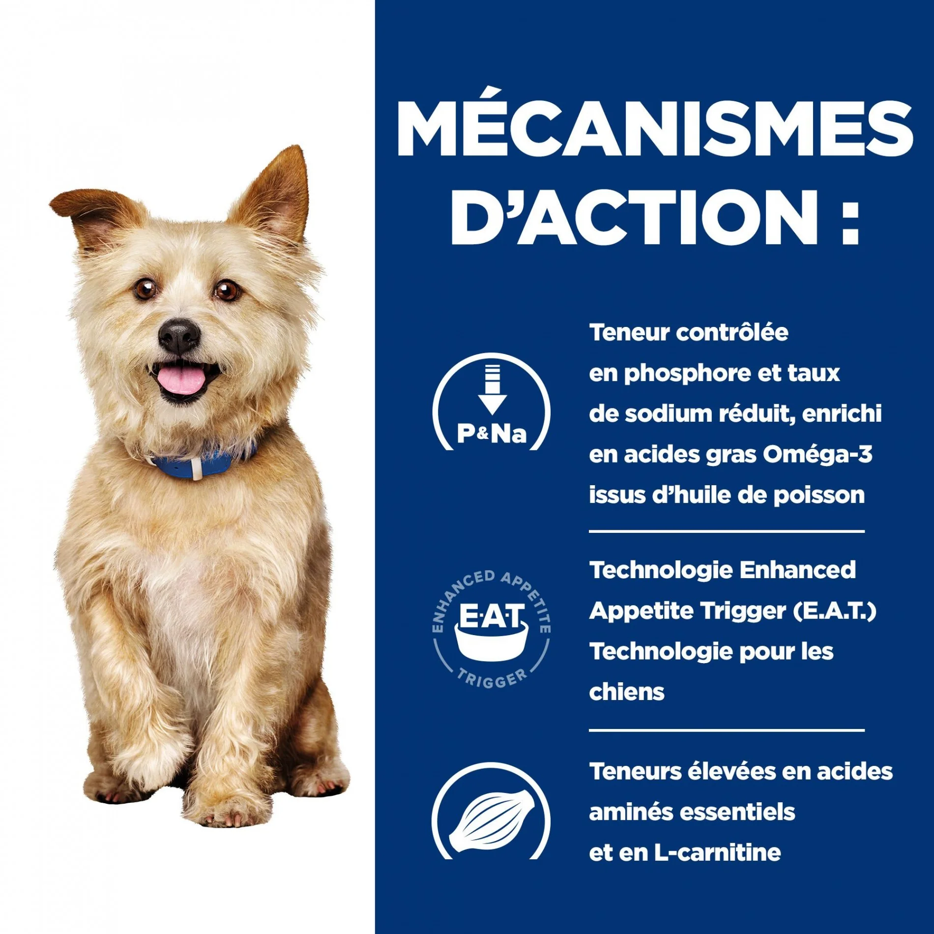 HILL'S Prescription Diet k/d Kidney Care en terrine au poulet - Pâtée pour chien - Image 13
