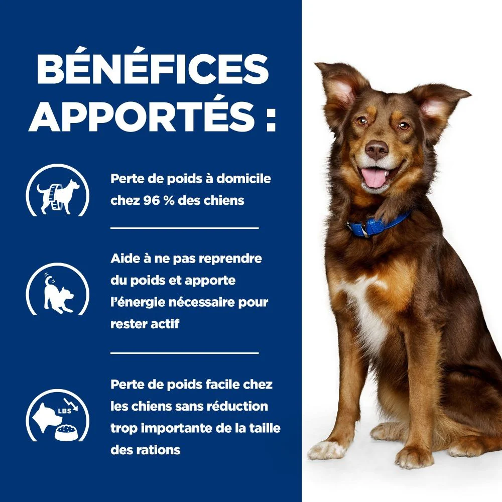 HILL'S Prescription Diet Metabolic à l'Agneau et au Riz - Croquettes pour chien - Image 4
