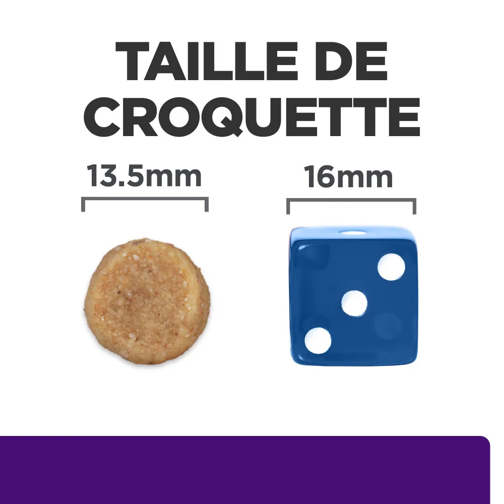 HILL'S Prescription Diet u/d Urinary Care - Croquettes pour chien - Image 6