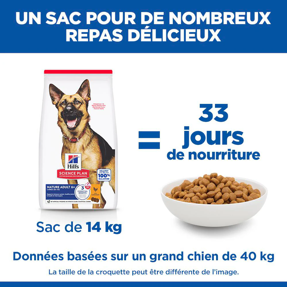Hill's Science Plan Large Mature Adult 6+ au poulet - croquettes pour chien - Image 5