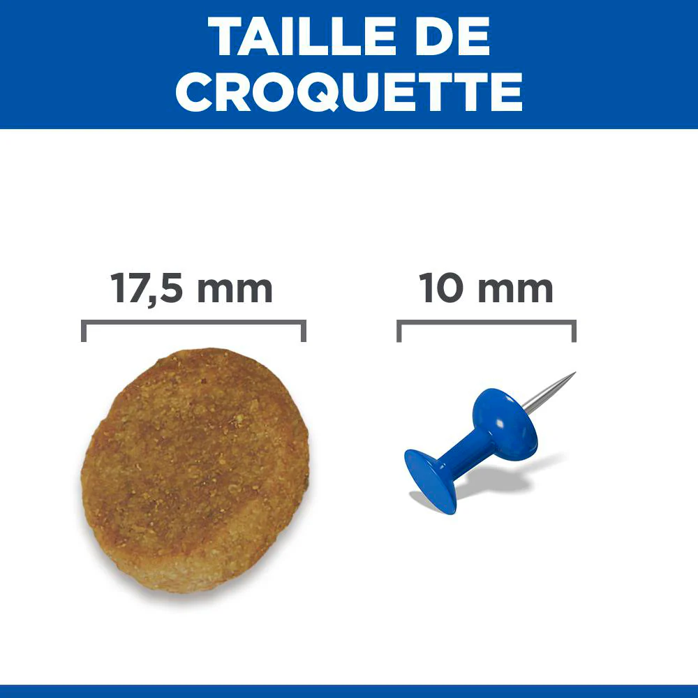 Hill's Science Plan Large Mature Adult 6+ au poulet - croquettes pour chien - Image 7