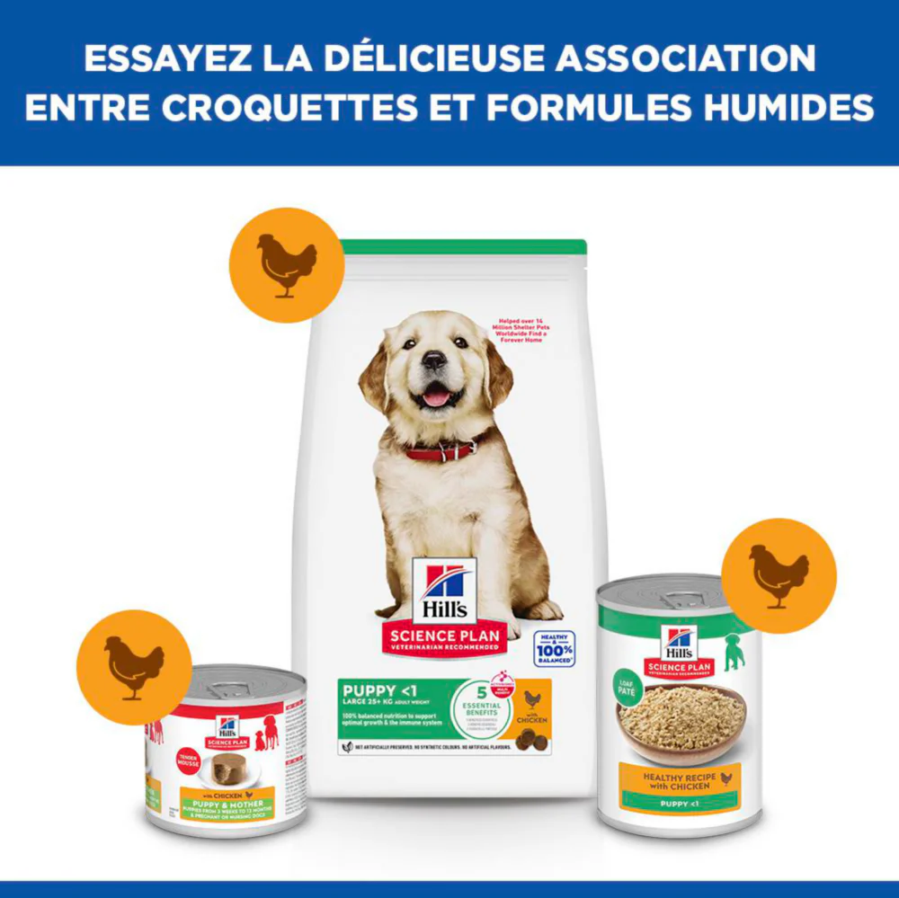 Hill's Science Plan Large Puppy au poulet - croquettes chiot - Image 4