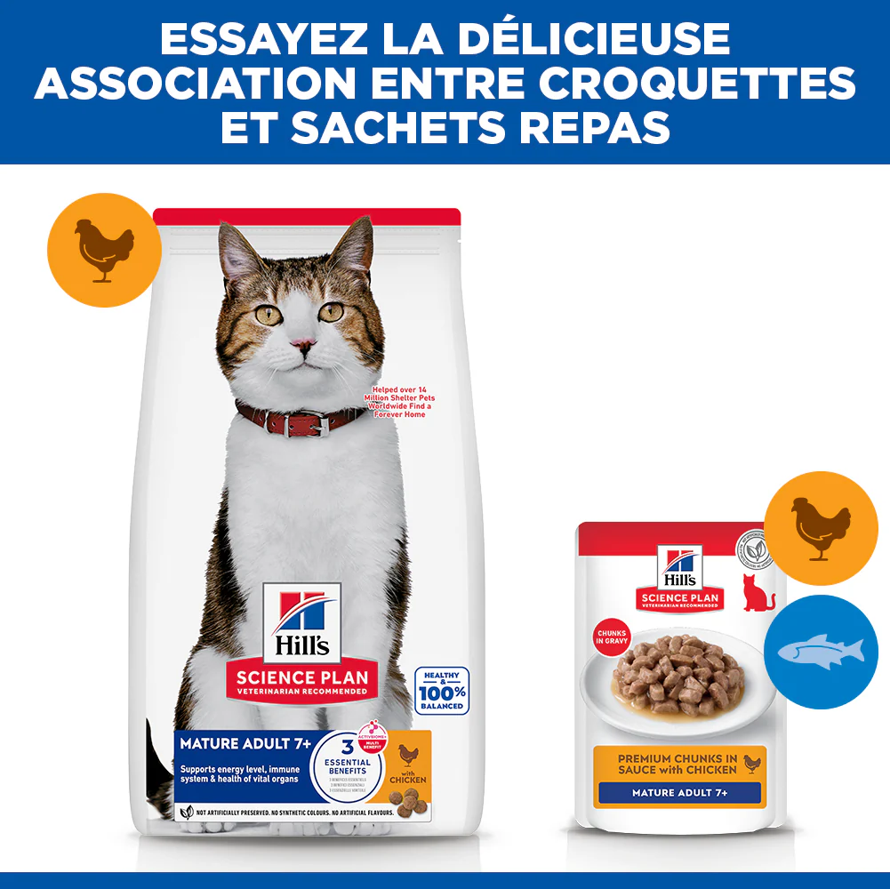 Hill's Science Plan Mature Adult 7+ au poulet - croquettes chat - Image 4