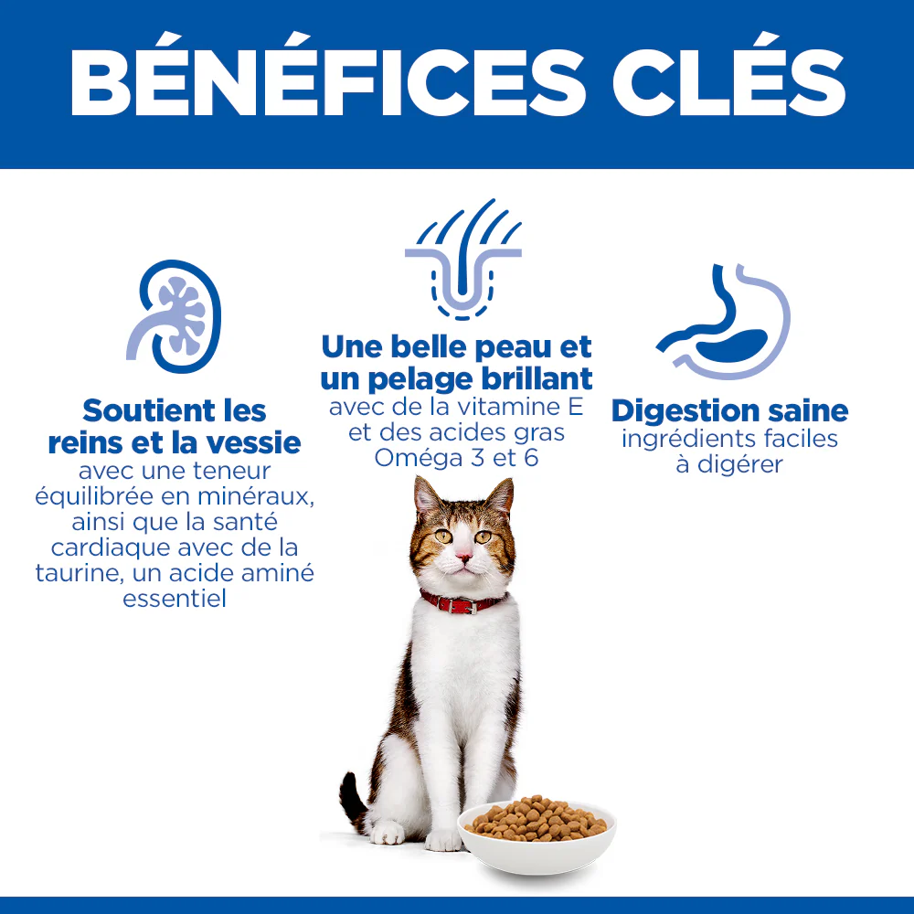 Hill's Science Plan Mature Adult 7+ au poulet - croquettes chat - Image 9