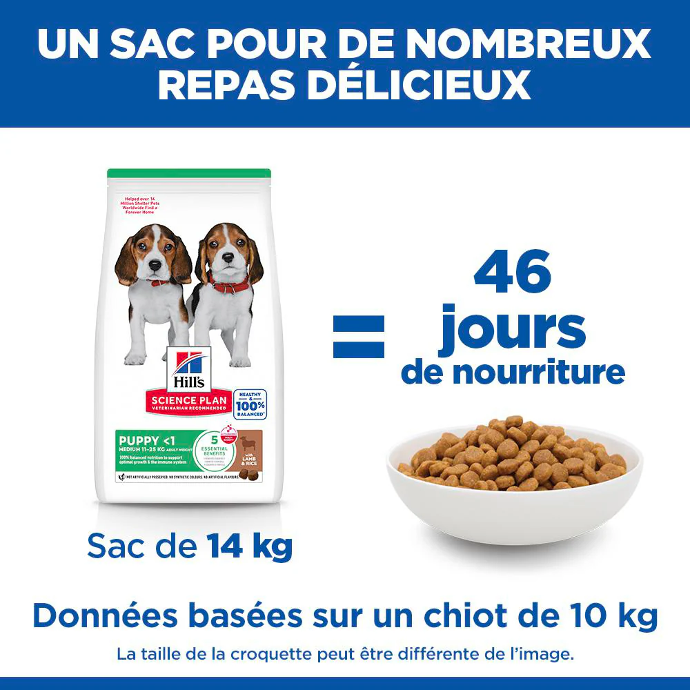 HILL'S Science Plan Medium Puppy à l'Agneau - Croquettes pour chiot - Image 4