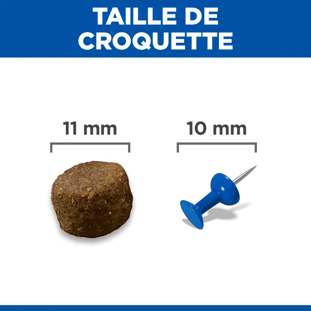 HILL'S Science Plan Medium Puppy à l'Agneau - Croquettes pour chiot - Image 6