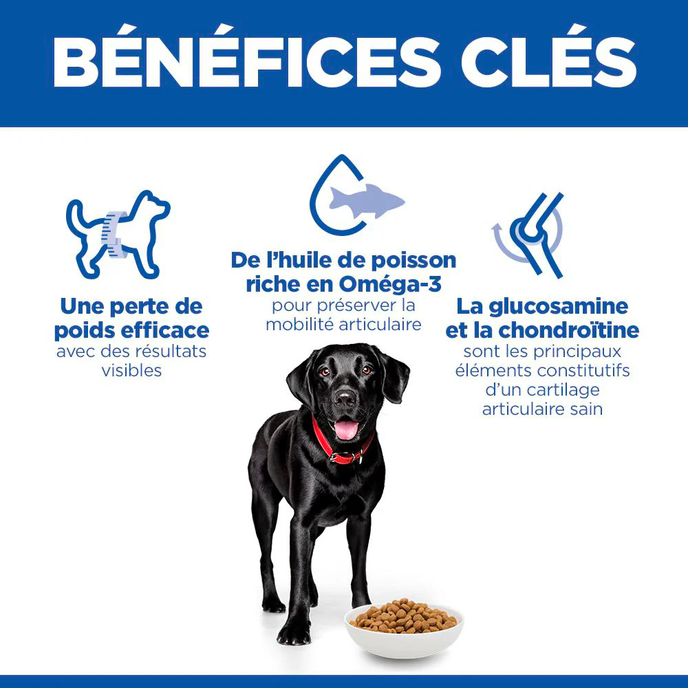 Hill's Science Plan Perfect Weight & Active Mobility Large Adult au poulet - croquettes chien - Image 6
