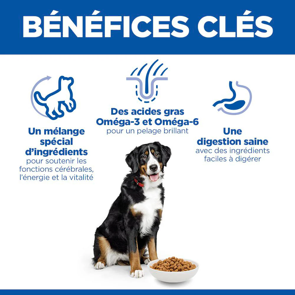 HILL'S Science Plan Senior Vitality Large Mature Adult 6+ au Poulet - Croquettes pour chien - Image 6