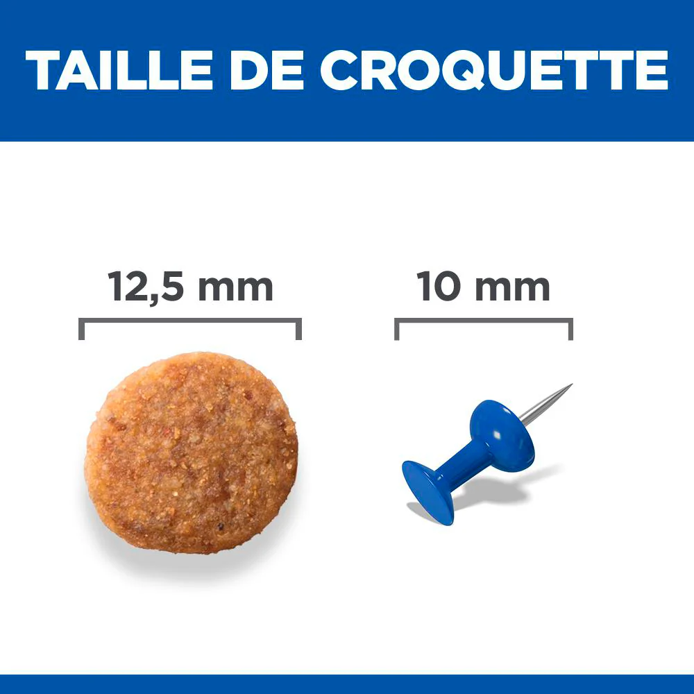 Hill's Science Plan Senior Vitality Medium Mature Adult 7+ au poulet - croquettes chien - Image 5