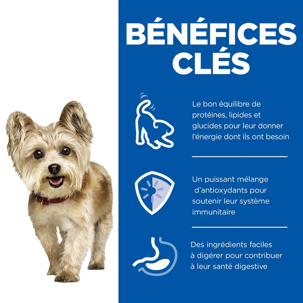 HILL'S Science Plan Small & Mini Mature Adult 7+ en mousse au bœuf - Pâtée pour chien - Image 3