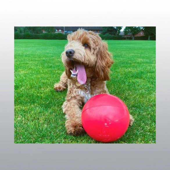 Jouet Boomer Ball - Image 3