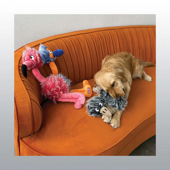 Jouet Kong Comfort Jumbo Bird - Image 3