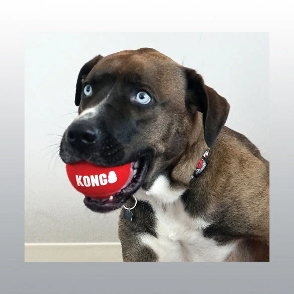 Jouet Kong Sport Balls - Image 2