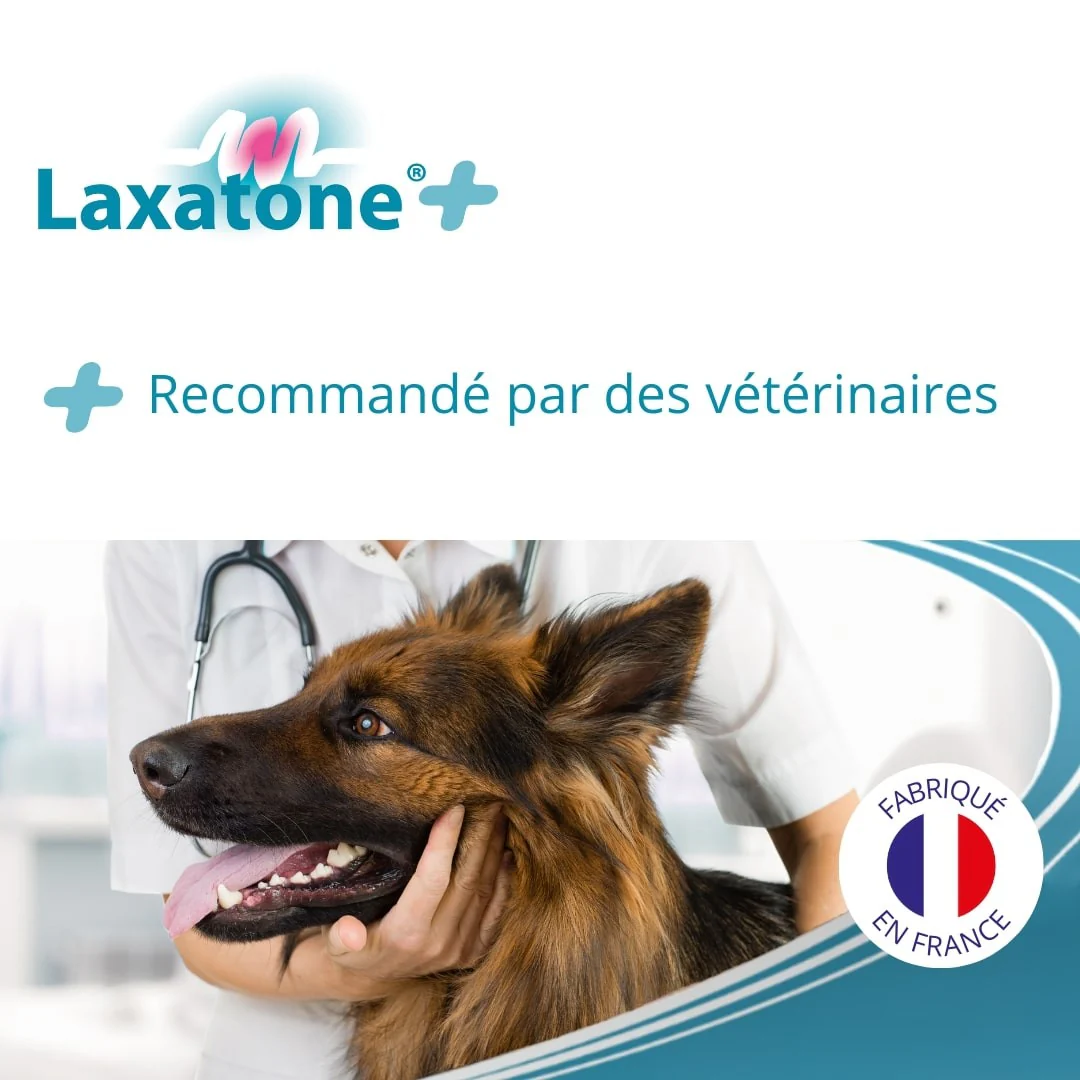 Laxatone Plus - chien, chat - Image 6