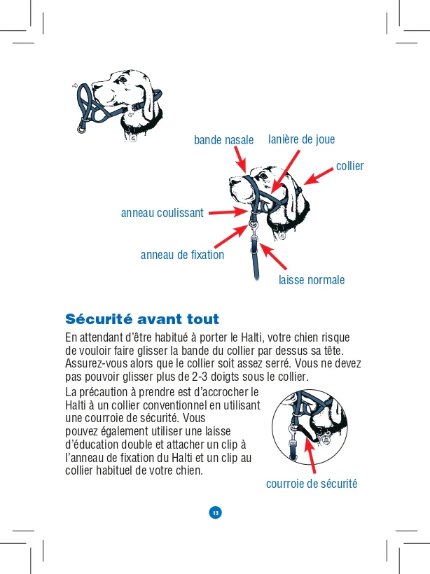 Licol Halti - Image 3