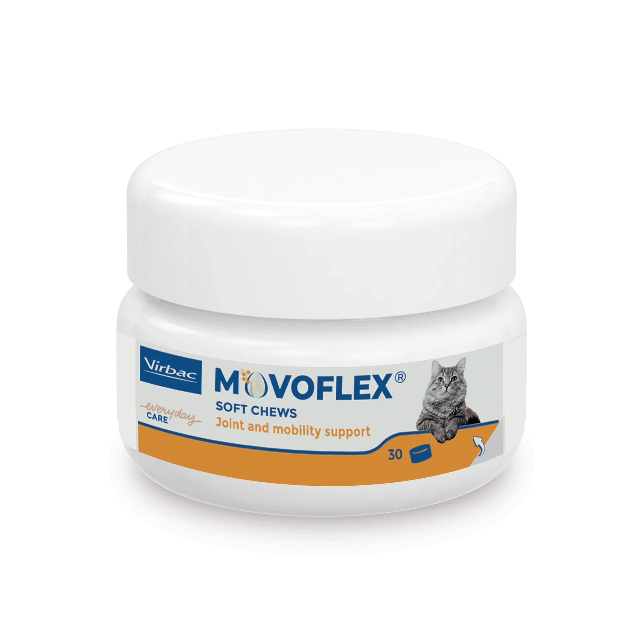 Movoflex Chat - Image 6