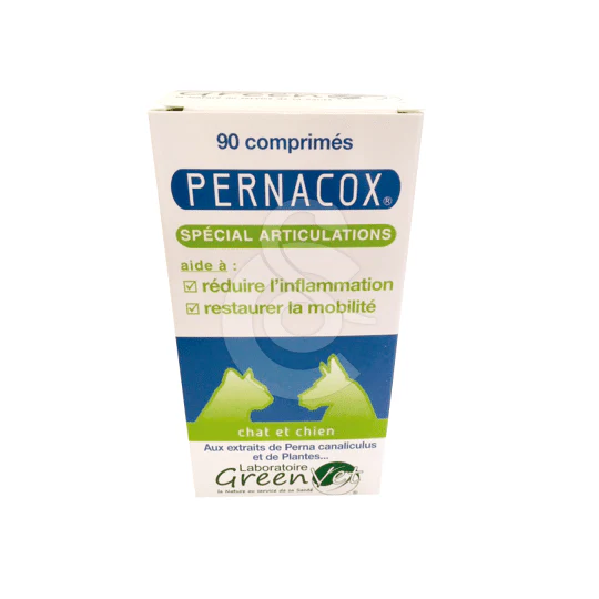 Pernacox Chat & Chien - Image 2