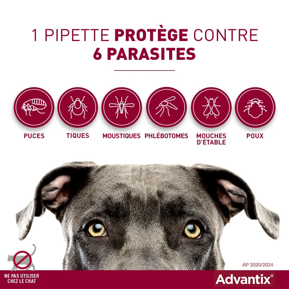 Pipettes Advantix Chien - Image 10