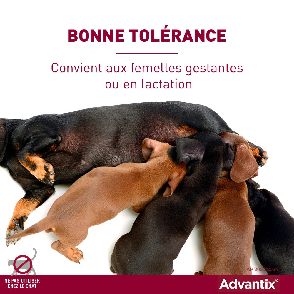 Pipettes Advantix Chien - Image 4