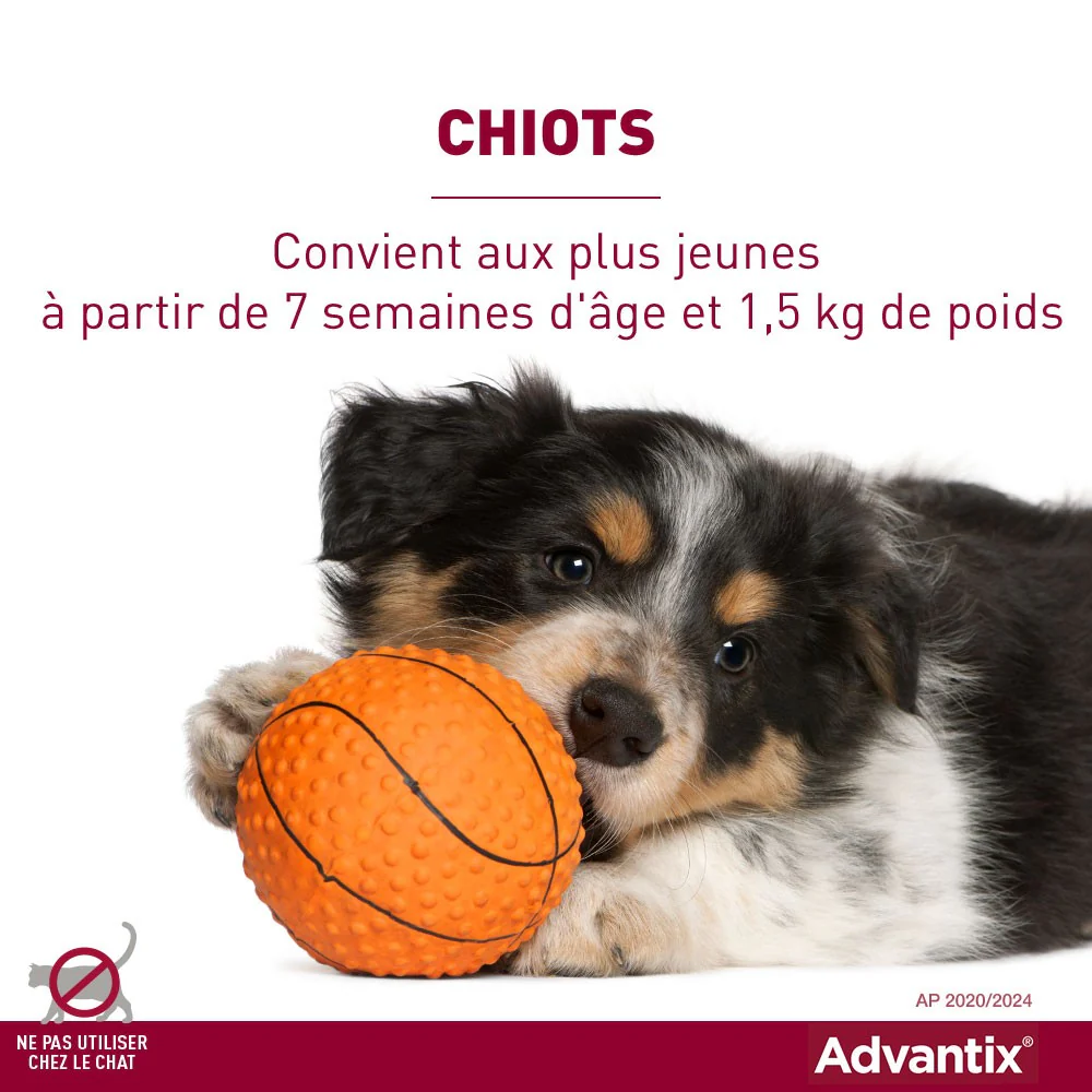 Pipettes Advantix Chien - Image 5