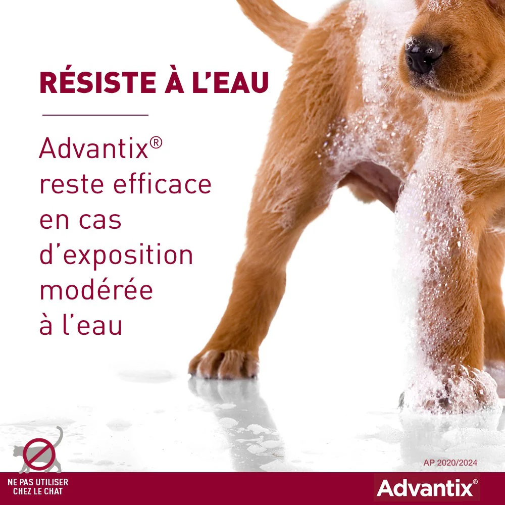 Pipettes Advantix Chien - Image 9