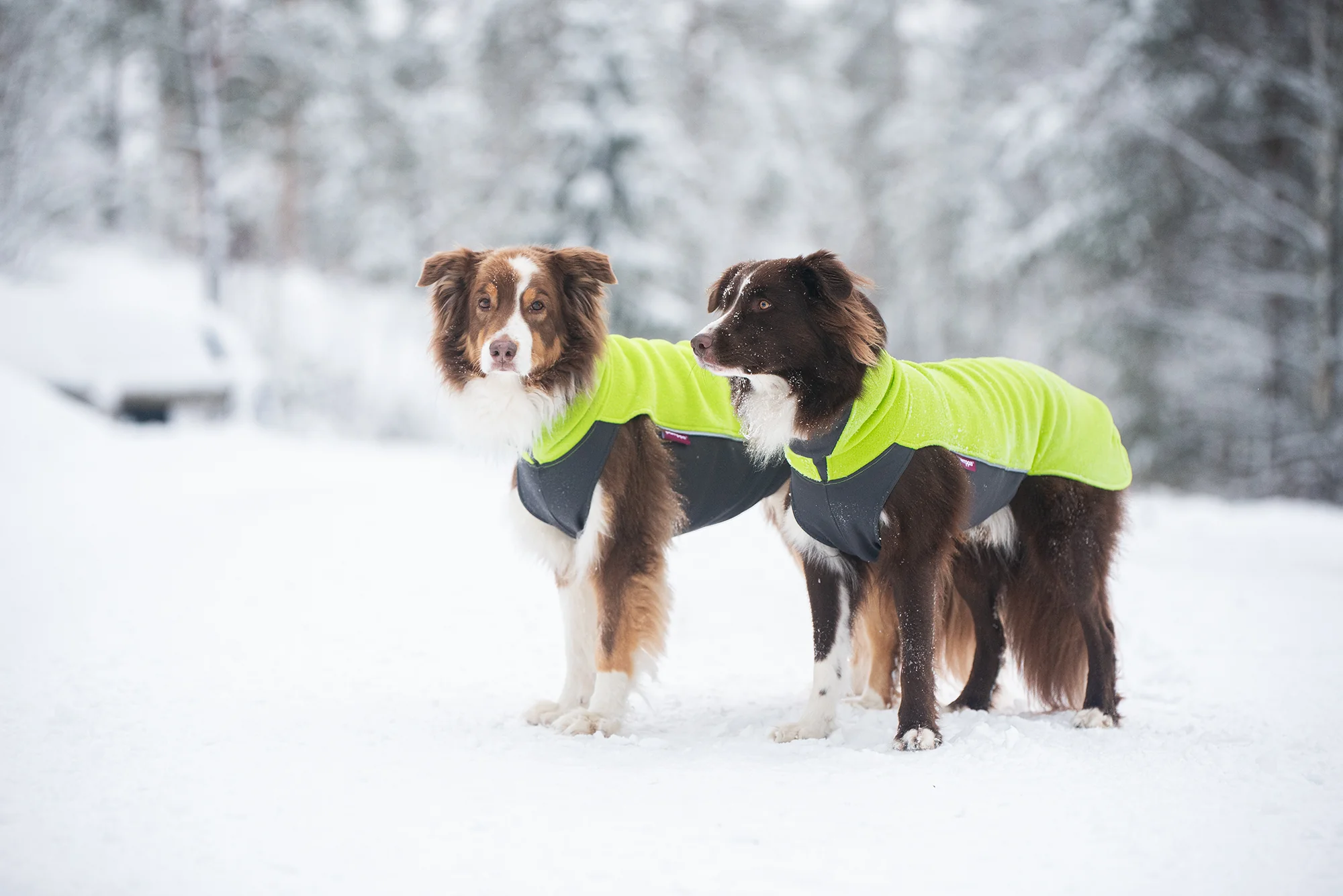 Pomppa Jumppa manteau polaire pour chien Lime - Image 3