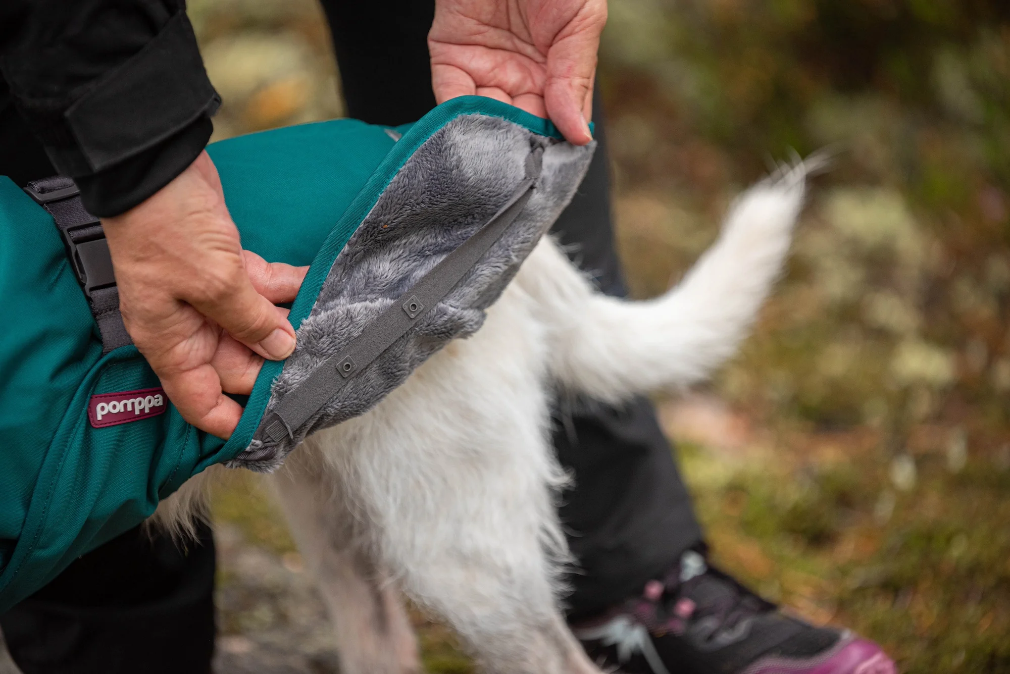 Pomppa Kevyt manteau imperméable pour chien Forest - Image 4