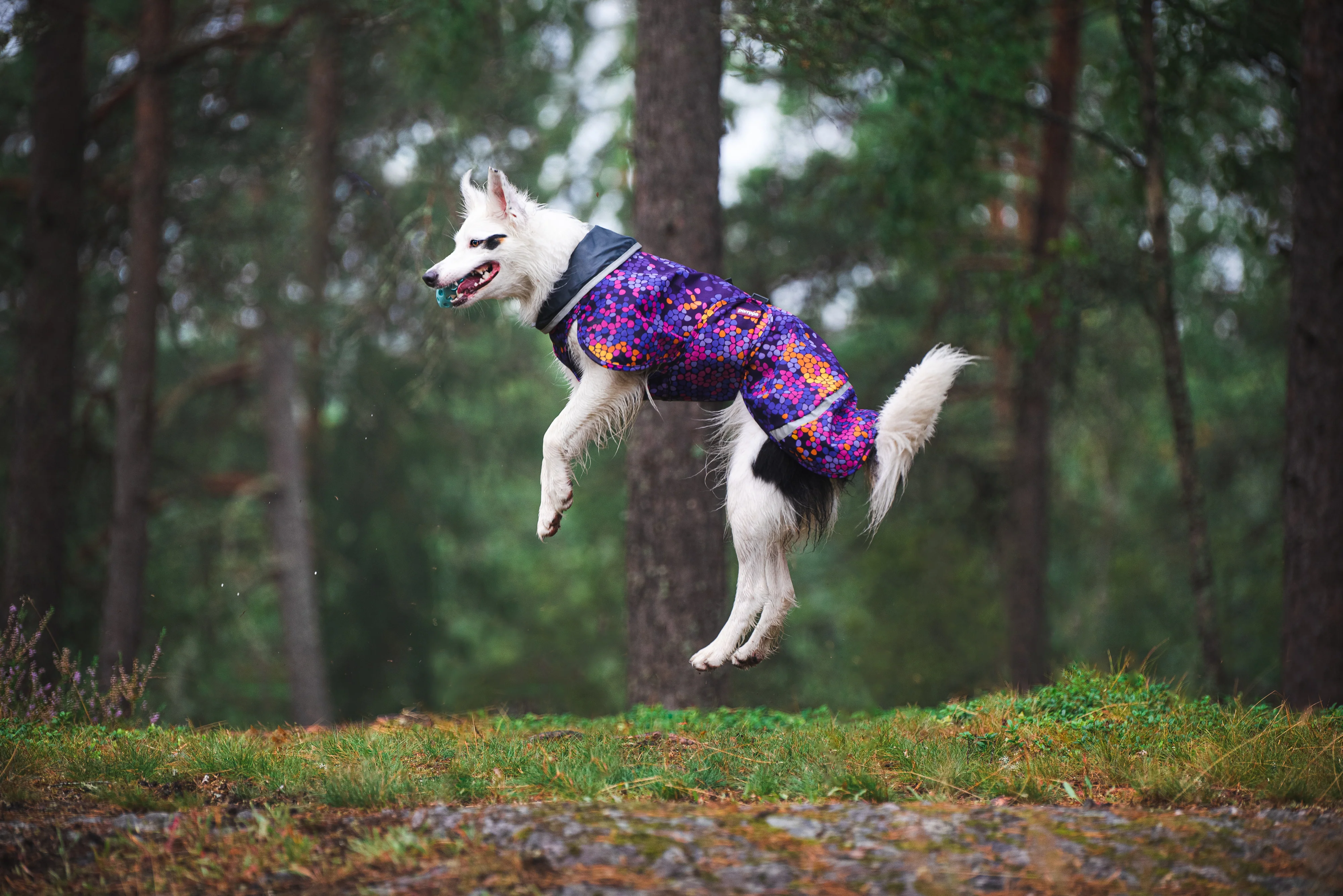 Pomppa Sade manteau imperméable pour chien Cosmos - Image 3